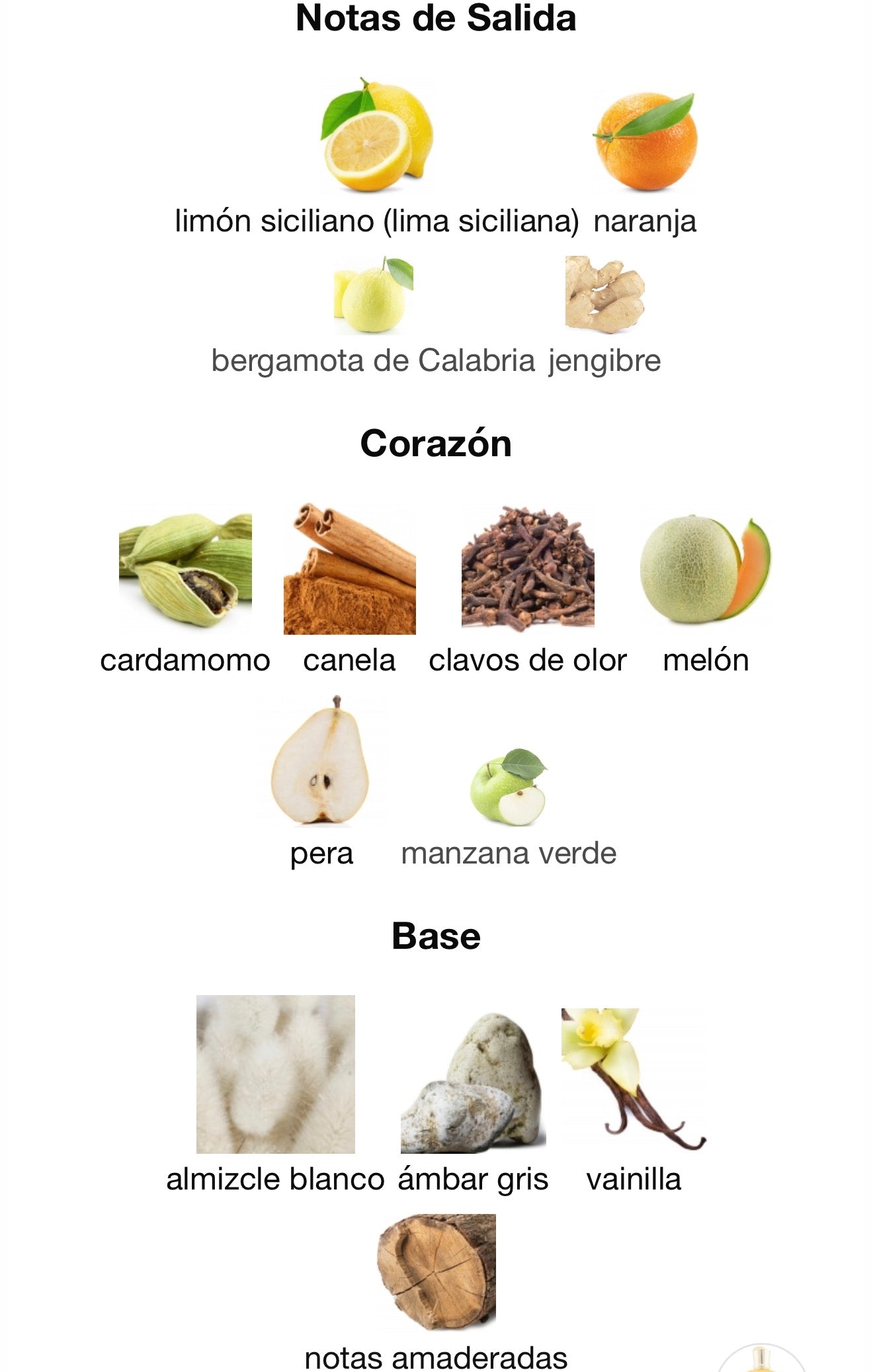 ESTA ORO VOLARÉ EDP-100ml
