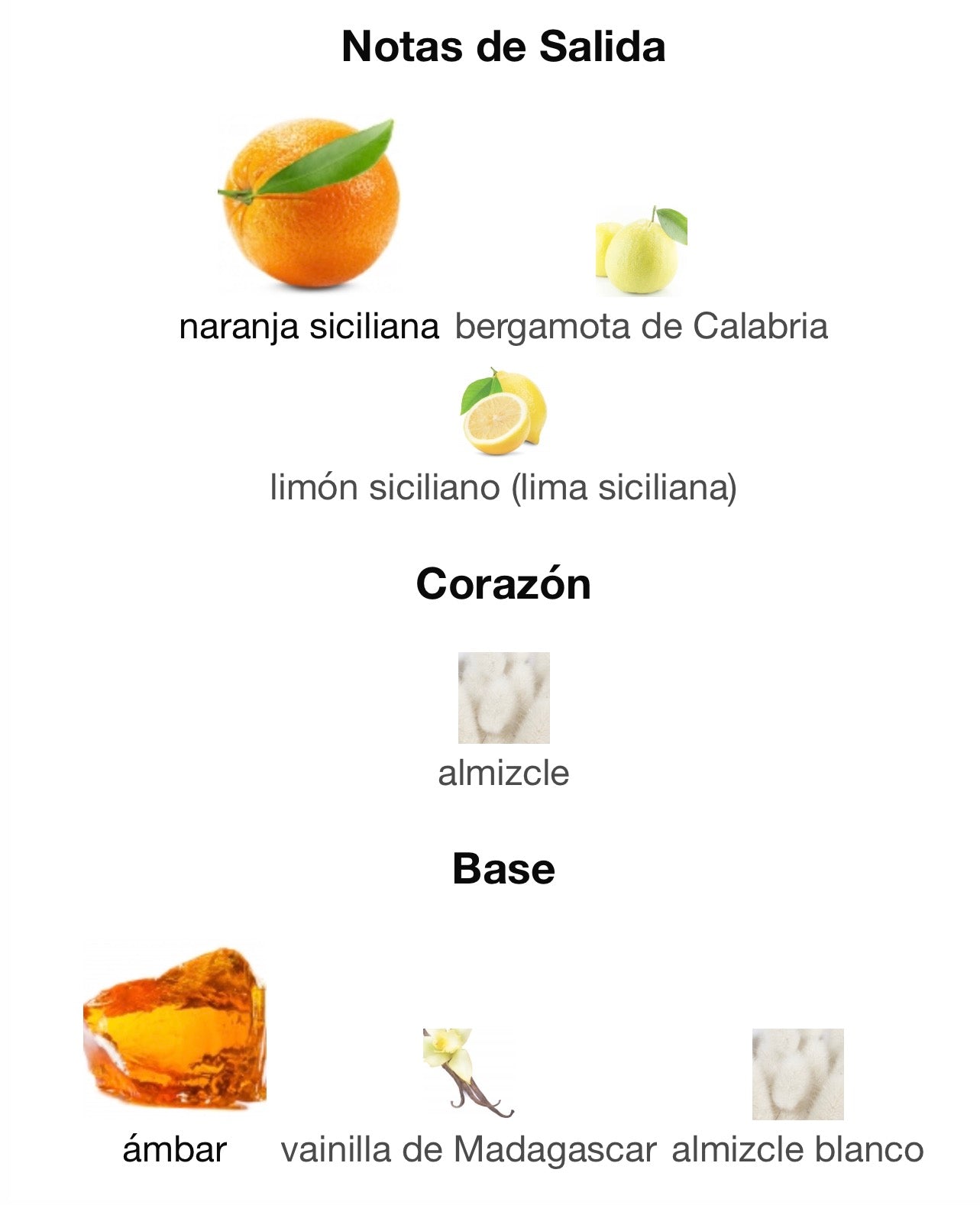 ESTA PURO VOLARÉ EDP-100ml