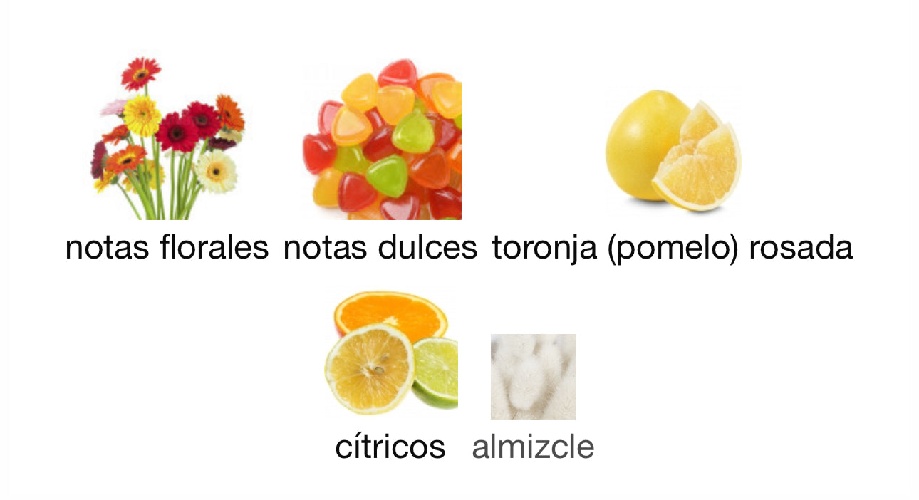 Hayaati Florence-Lattafa EDP 100ml